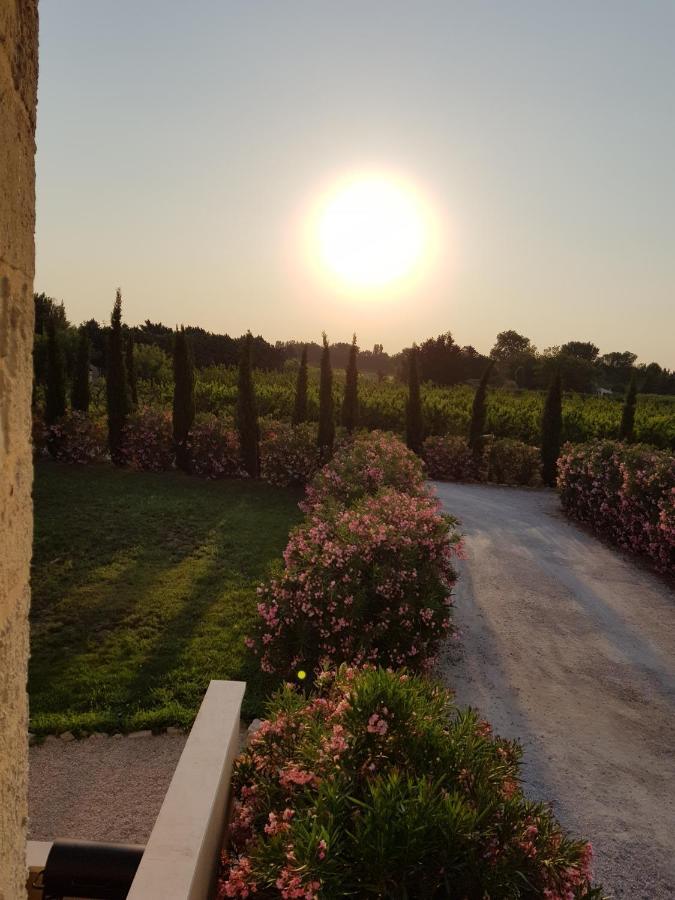 Mézoargues Le Mas De Guiguite מראה חיצוני תמונה