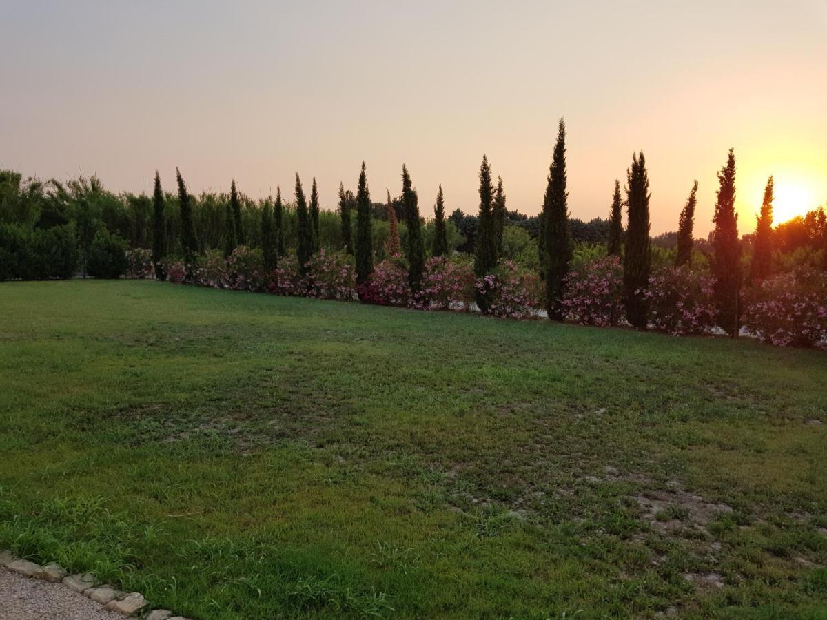 Mézoargues Le Mas De Guiguite מראה חיצוני תמונה